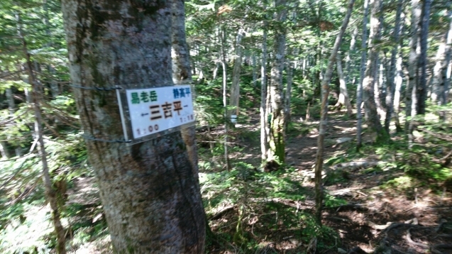 b0148050_11062472.jpg