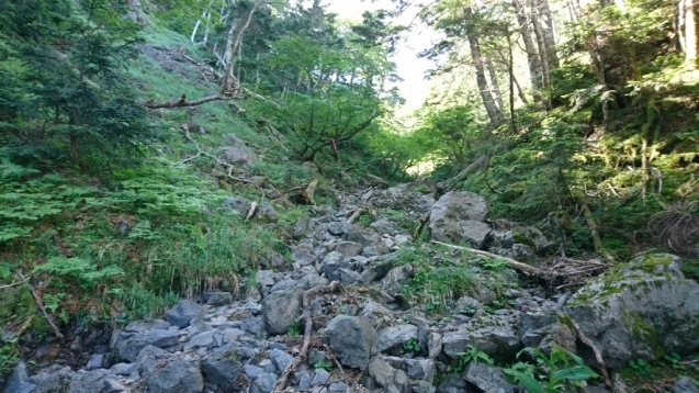 b0148050_11062734.jpg