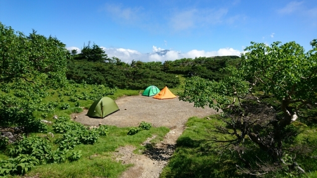 b0148050_11115741.jpg