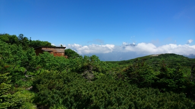 b0148050_12114848.jpg