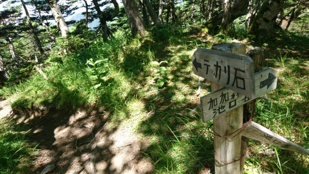 b0148050_12250434.jpg