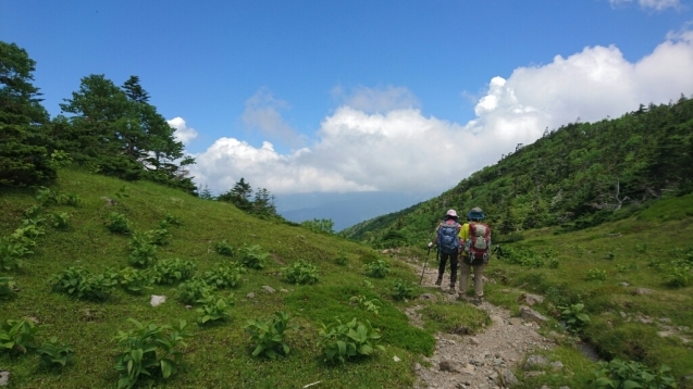 b0148050_12404038.jpg