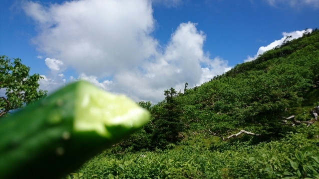 b0148050_12535615.jpg