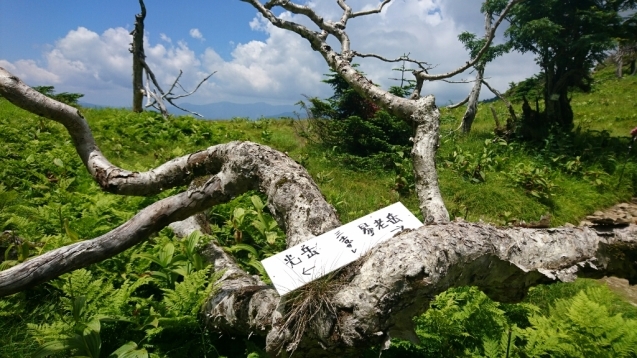 b0148050_12535953.jpg