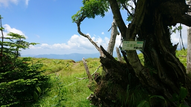 b0148050_12540144.jpg
