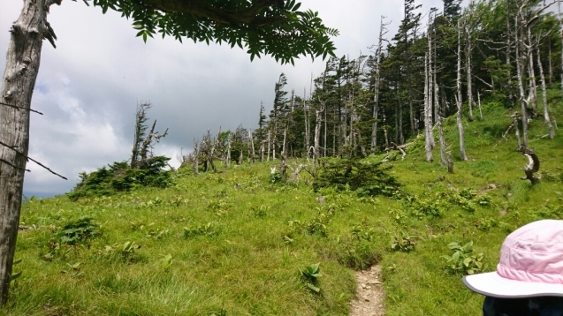 b0148050_12540281.jpg