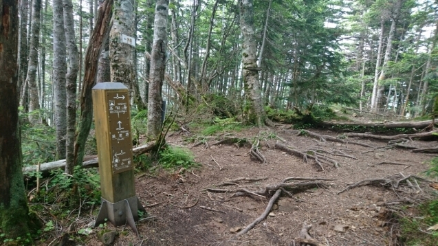 b0148050_12540409.jpg