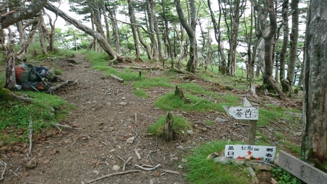 b0148050_12541014.jpg