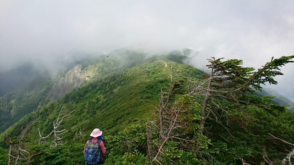 b0148050_13053031.jpg