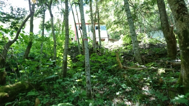 b0148050_15345188.jpg