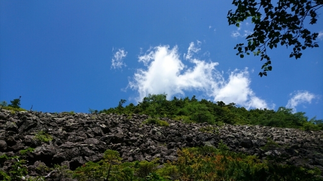 b0148050_15350375.jpg