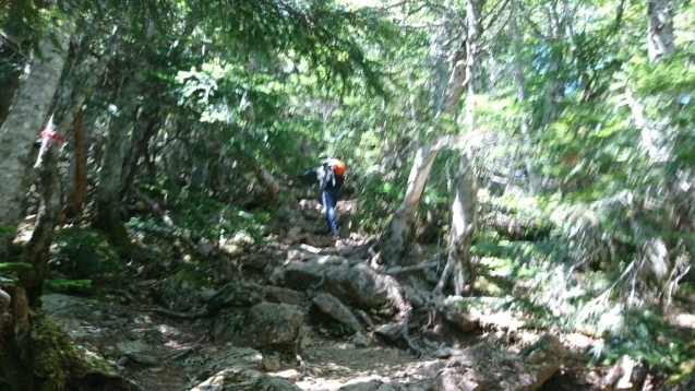 b0148050_16120823.jpg