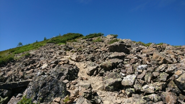 b0148050_16121417.jpg