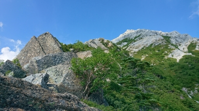 b0148050_16464291.jpg