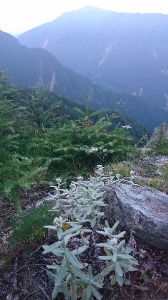 b0148050_17184616.jpg
