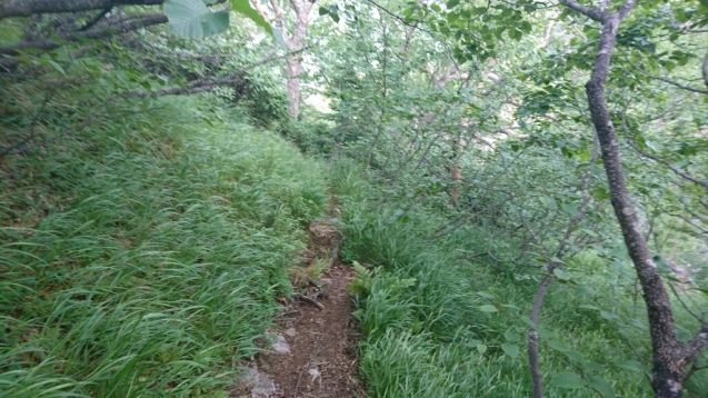 b0148050_17394284.jpg