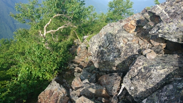 b0148050_17431695.jpg