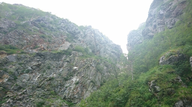b0148050_17432053.jpg