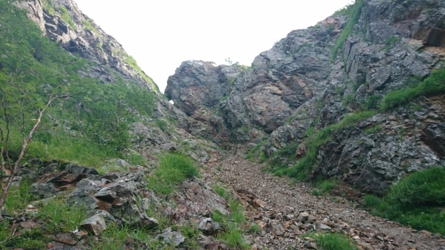b0148050_17495766.jpg