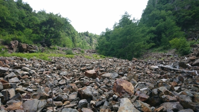 b0148050_19183010.jpg