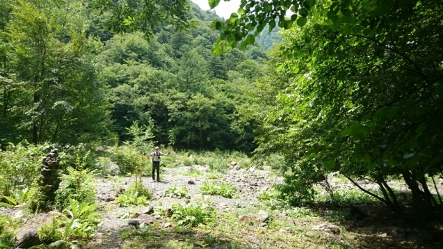 b0148050_19183611.jpg