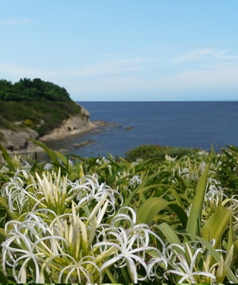 b0243152_09214230.jpg