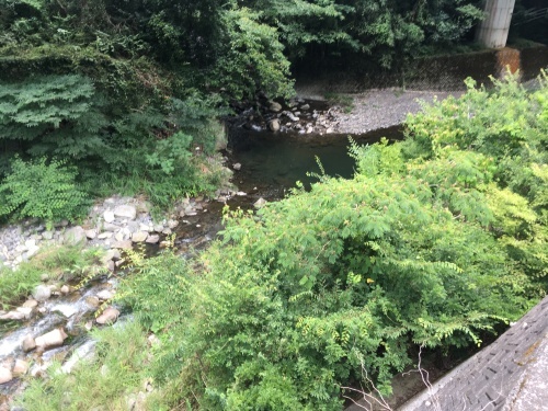 a0152454_01252084.jpeg
