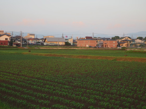 b0248954_22302491.jpg