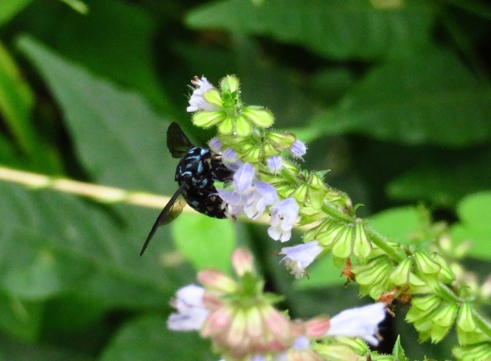 a0018655_09092557.jpg