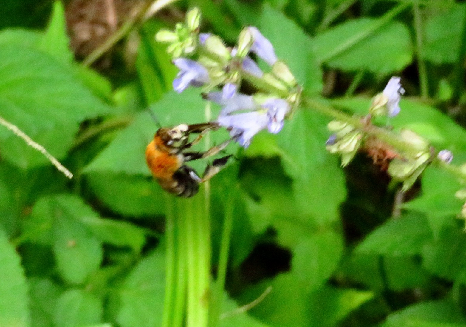 a0018655_09124161.jpg