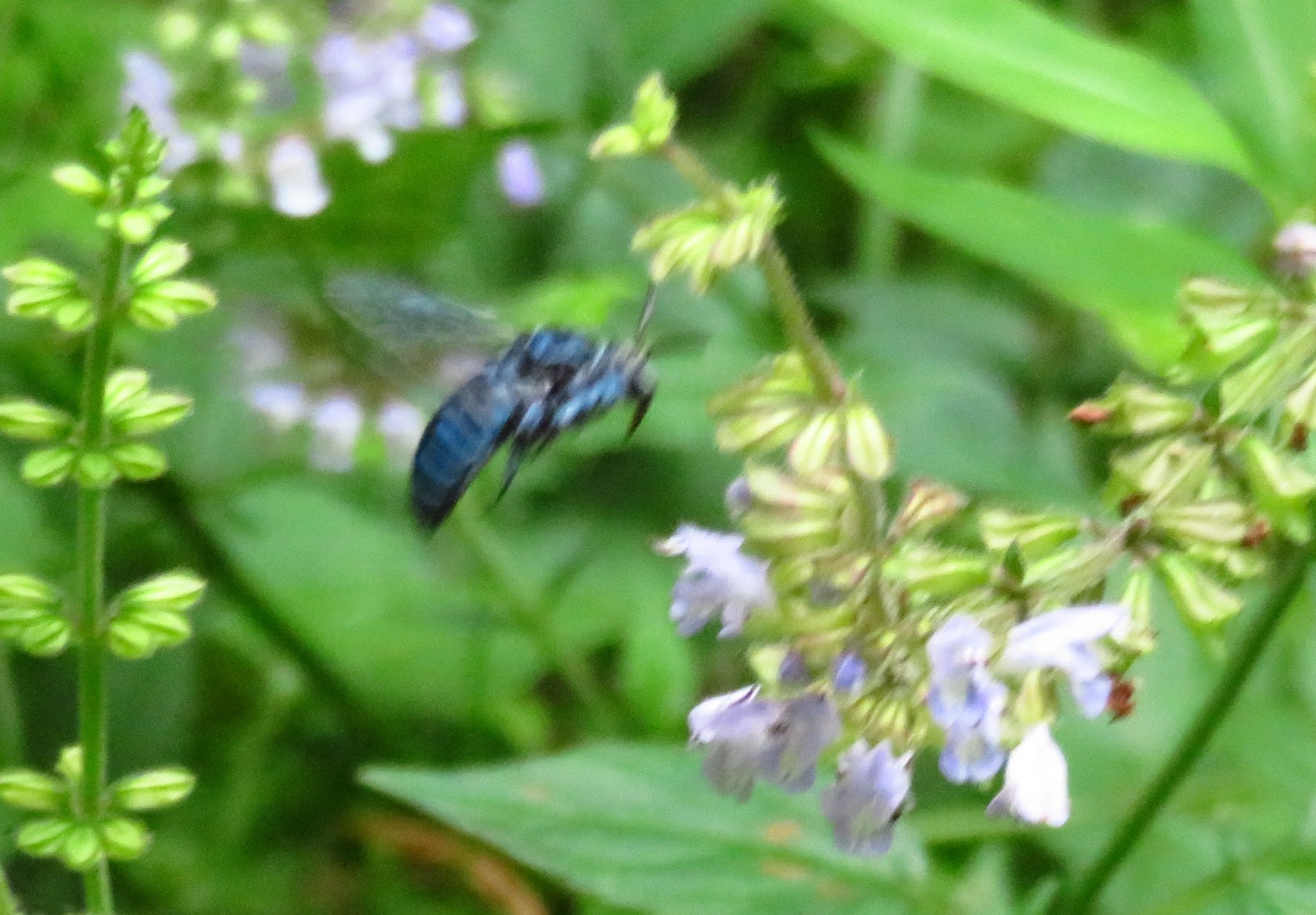 a0018655_09124199.jpg