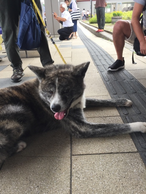 実家です_b0093660_21543754.jpeg