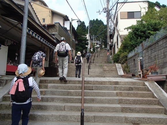 大和Ｗ「生駒山麓・納涼ウオーク」に参加_b0044663_11352992.jpg