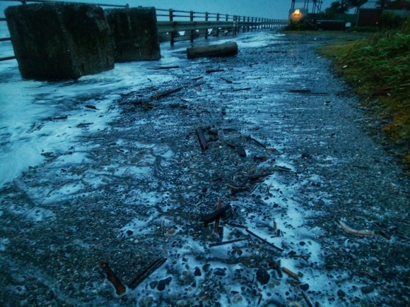 f0376072_20101585.jpeg