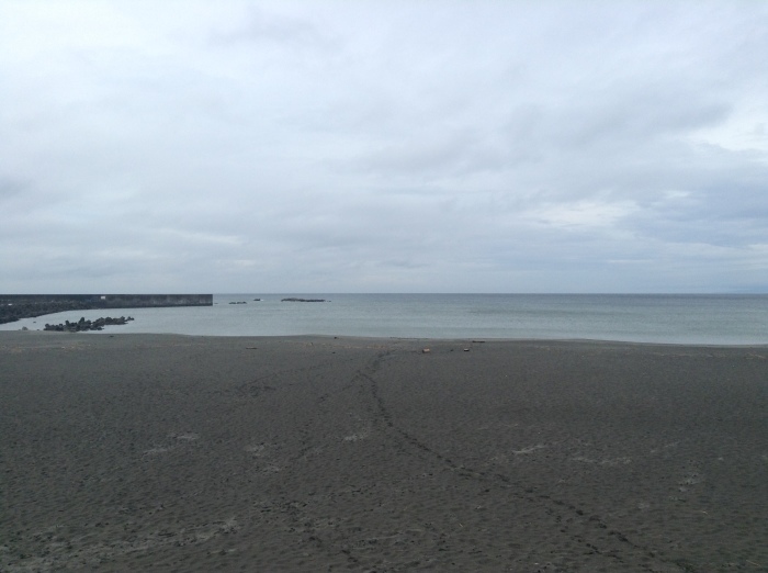 波情報 H/04:16/18:15/ L/11:21/23:29 大潮  _f0089978_09122985.jpeg