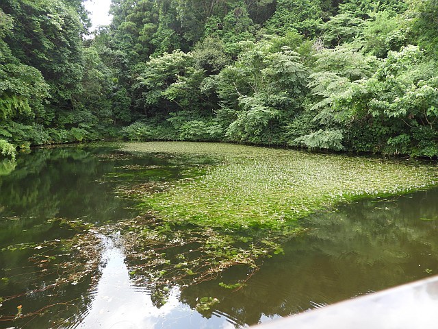 f0378979_21003881.jpg