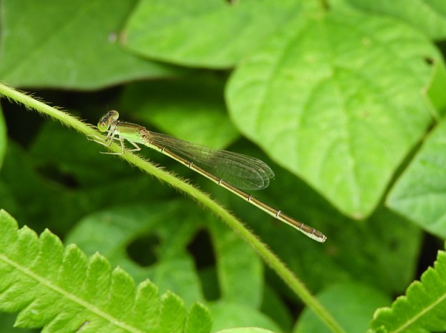 f0378979_21062413.jpg
