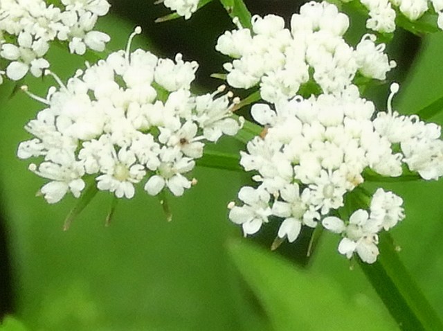 f0378979_21102640.jpg