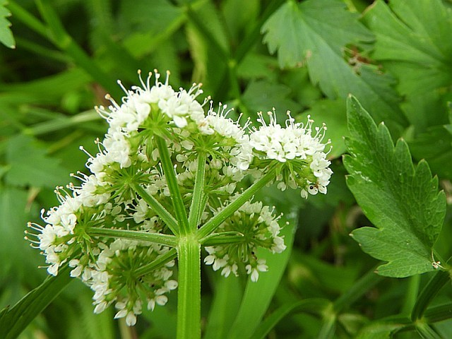 f0378979_21104062.jpg
