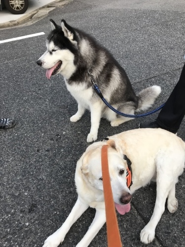 f0315081_18171402.jpeg