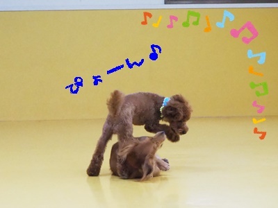 (*´ω`)仲良しさん(´ω`*)_f0357682_17434054.jpg
