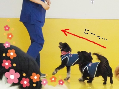 (*´ω`)仲良しさん(´ω`*)_f0357682_17462391.jpg