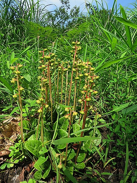 f0357487_23240330.jpg