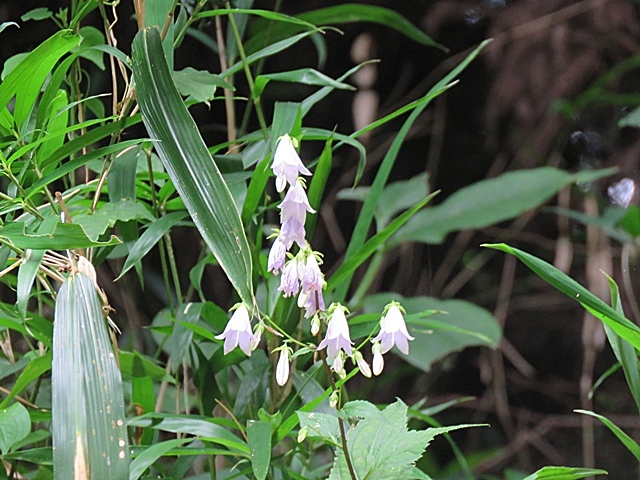 f0357487_23260363.jpg