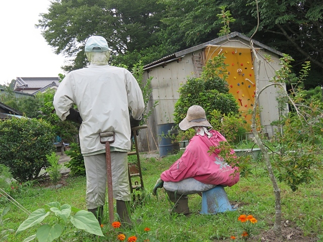 花を探してウロウロ。_f0357487_23274464.jpg