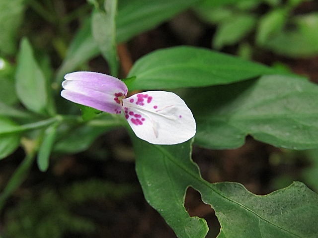 f0357487_23305218.jpg