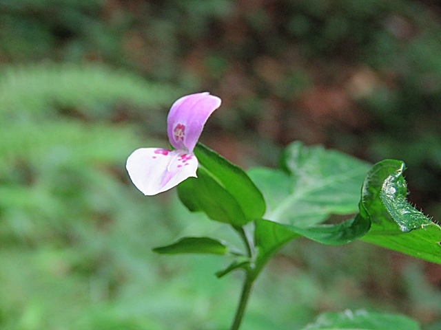 f0357487_23315279.jpg