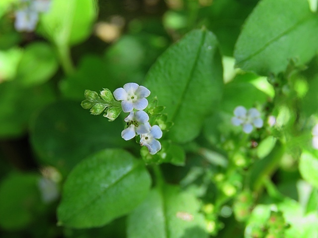 f0357487_23382844.jpg