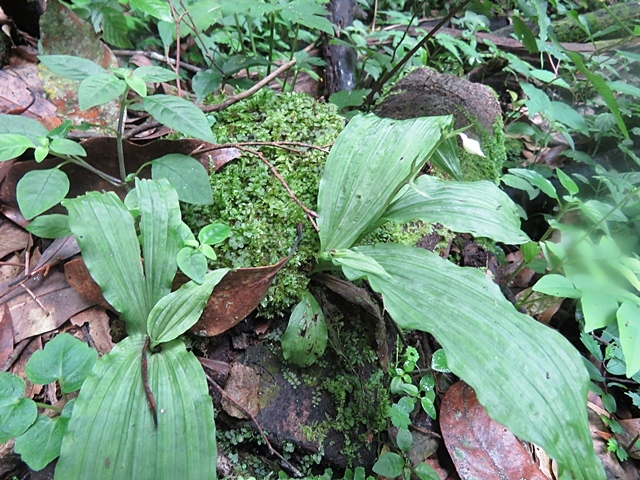 f0357487_23405527.jpg