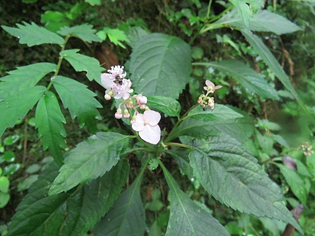 f0357487_23414011.jpg